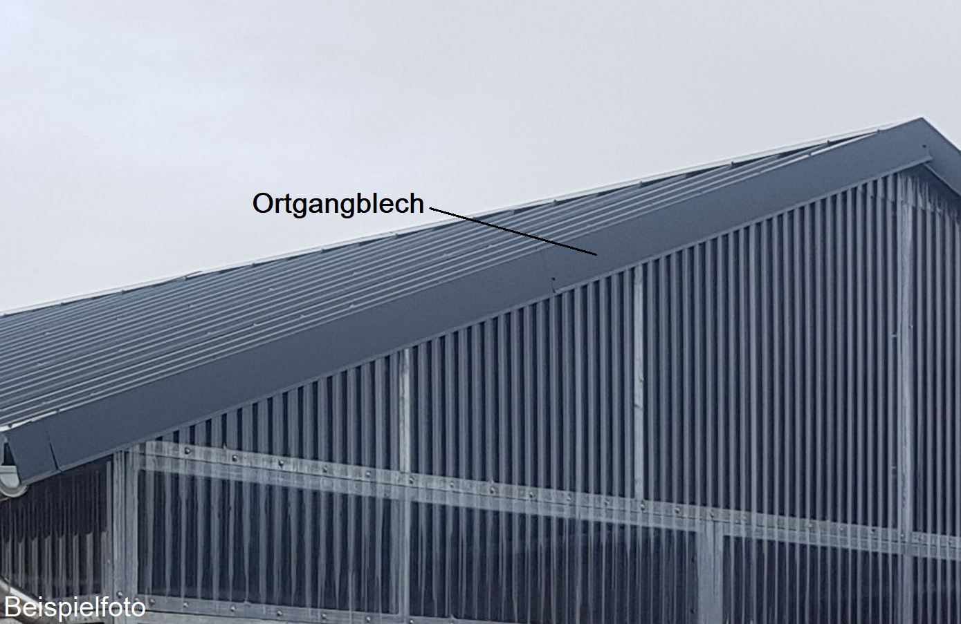 Dachkantenblech Ortgang MS Stalltechnik